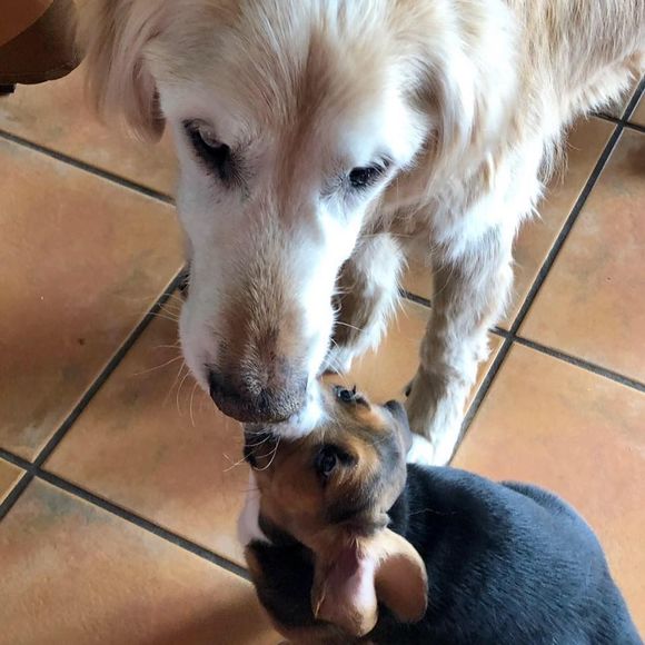 Meet your Posher, Kelly - Picture 1 of 1